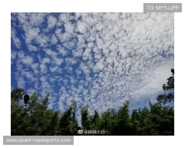足球球星猜谜九宫格挑战,看看你能认出多少位世界巨星 足球球星猜谜九宫格挑战,看看你能认出多少位世界巨星